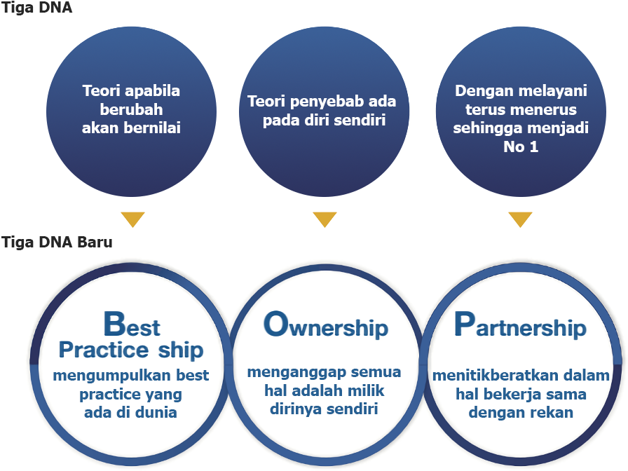 The Three DNAs / The New Three DNAs